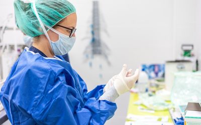 Geen wettelijke bepaling die recht op tewerkstelling regelt