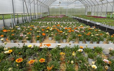 Val tijdens werk: onduidelijkheid over toedracht komt voor risico van werkgever